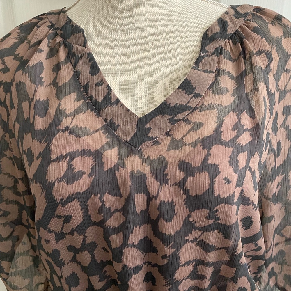 Express Women’s Dress